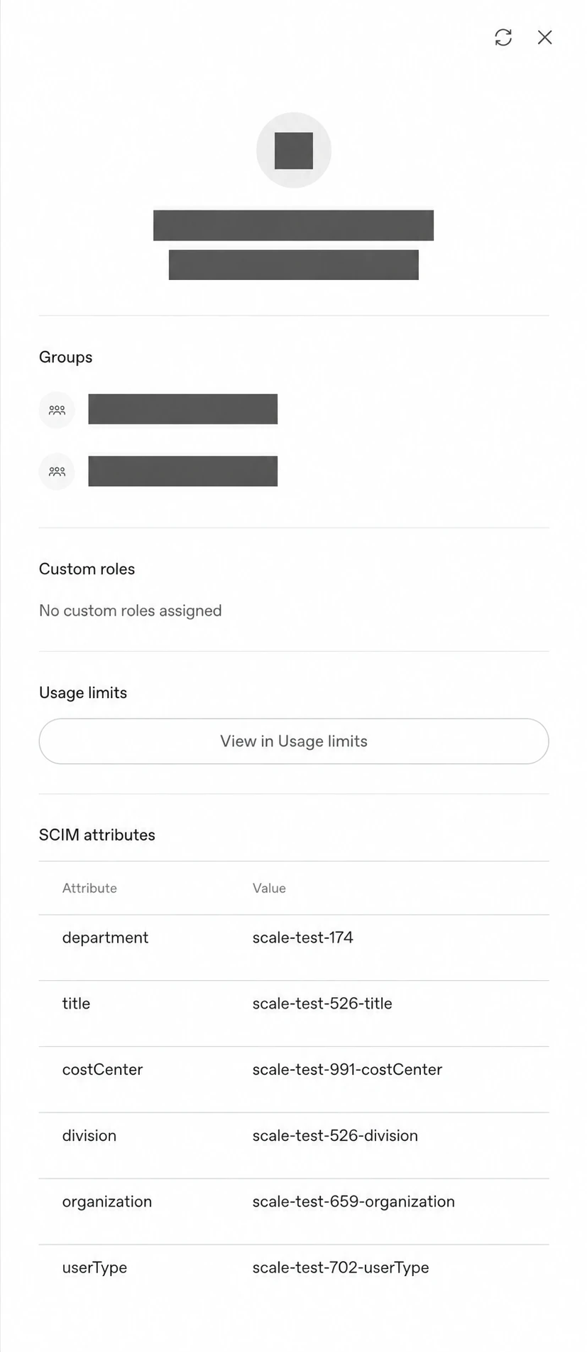 Ad, e-posta adresi ve grup adları maskelenmiş, SCIM öznitelik adlarını ve değerlerini gösteren üye profil kartı
